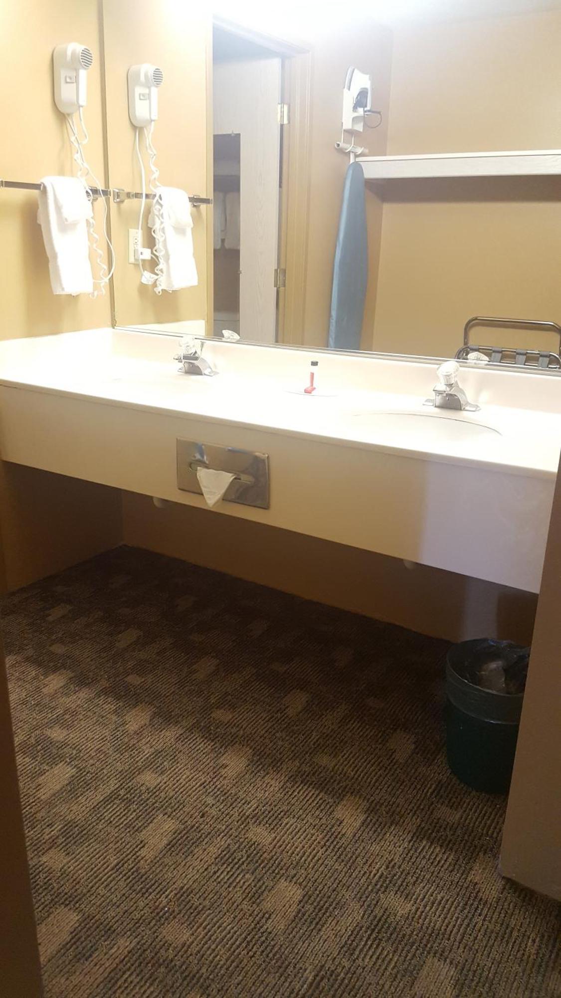 Superior King Studio Suite,1214354146:JPEG